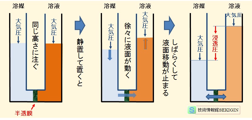 一般で浸透現象の説明に用いられる模式図