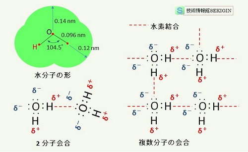 水分子の形と水素結合の模式図

