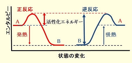 可逆反応のエネルギー状態【模式図】