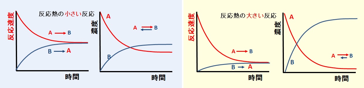 可逆反応の反応速度と濃度の変化【模式図】