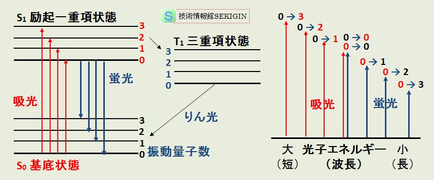 光吸収と発光の関係（模式図）