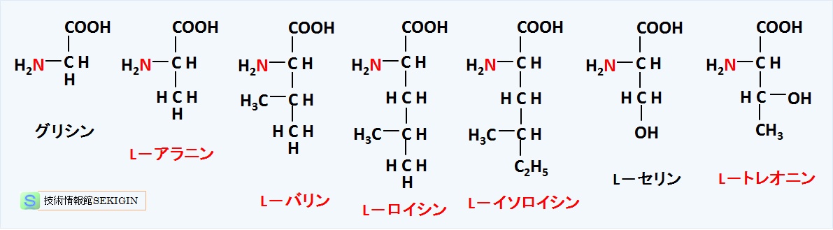 中性アミノ酸