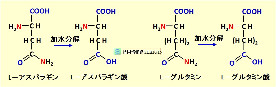 酸性アミノ酸
