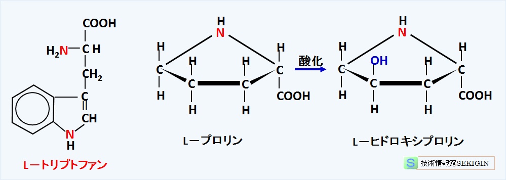 複素環アミノ酸